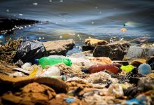 how-waste-management-companies-are-innovating-for-a-greener-future