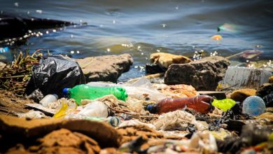 how-waste-management-companies-are-innovating-for-a-greener-future