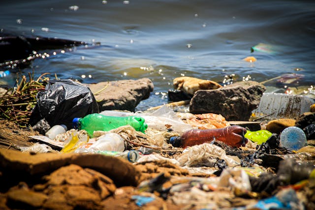 how-waste-management-companies-are-innovating-for-a-greener-future
