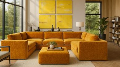 dreamsofa:-custom-comfort-meets-scalable-business-innovation